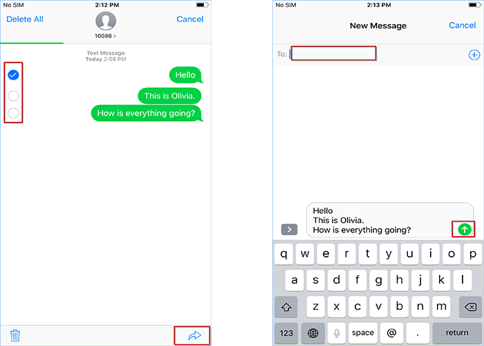 copy text messages