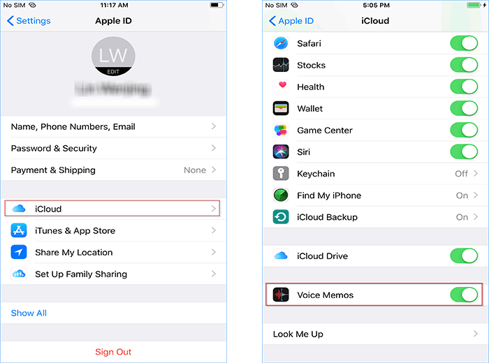 turn on Voice Memos
