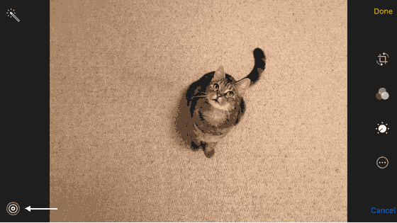 Convert Live Photo to still image
