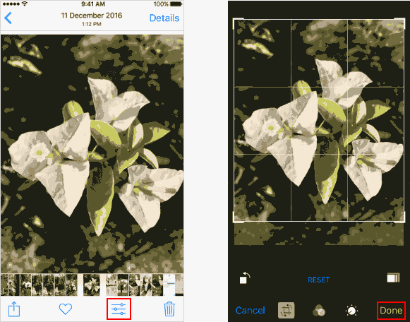 Edit a Live Photo