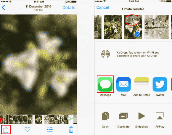 Share Live Photos