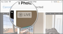 Share Live Photos in iPhone