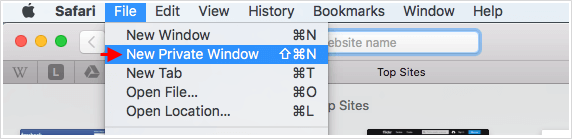 New Private Window