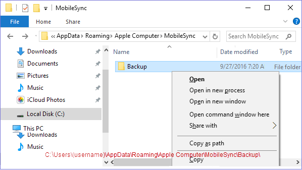 Locate to iTunes backup folders