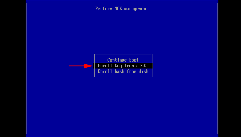 select-enroll-key-from-disk