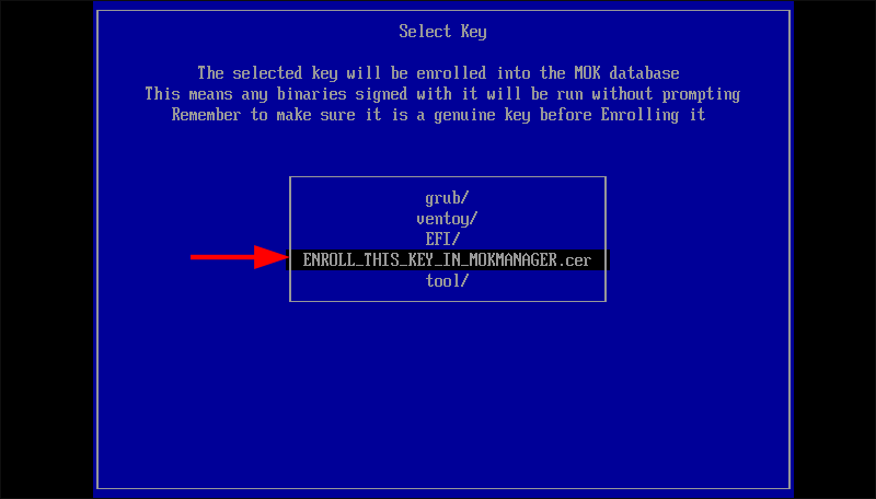 select-enroll-this-key-in-mokmanager