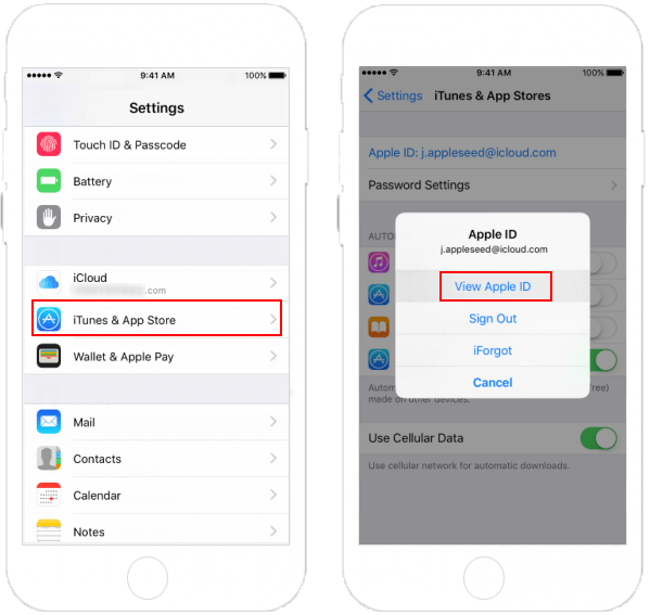 View Apple ID