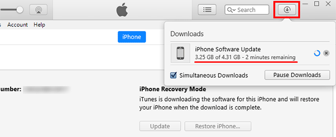 check download