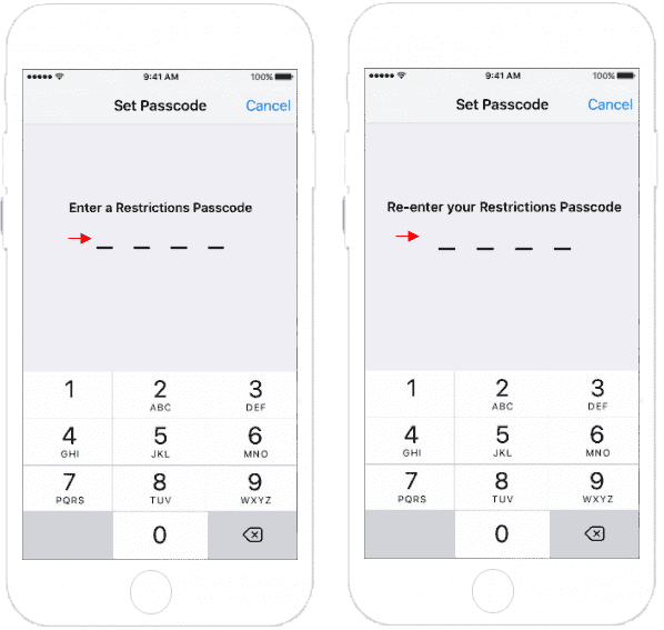 Enter Restriction Passcode