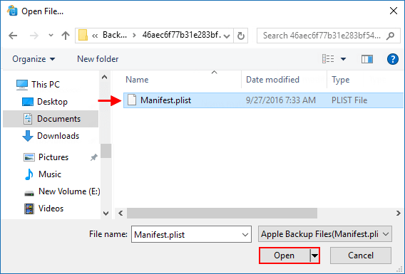 Open Apple Backup file path