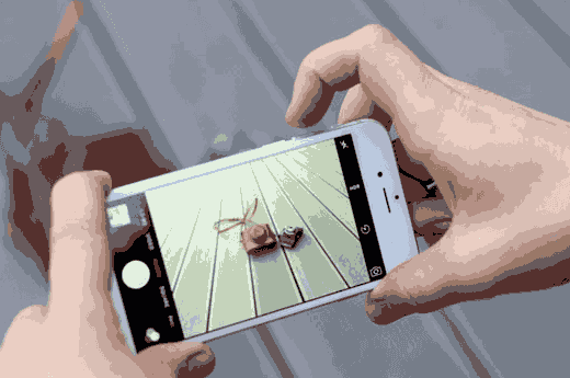 Use volume buttons to take a photo in iPhone