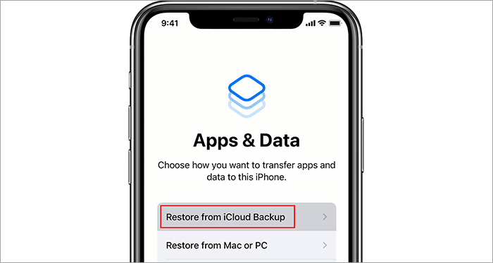 Restore from iCloud Backup
