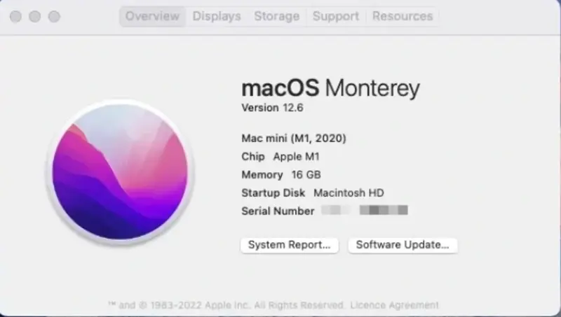 Check Your macOS Version