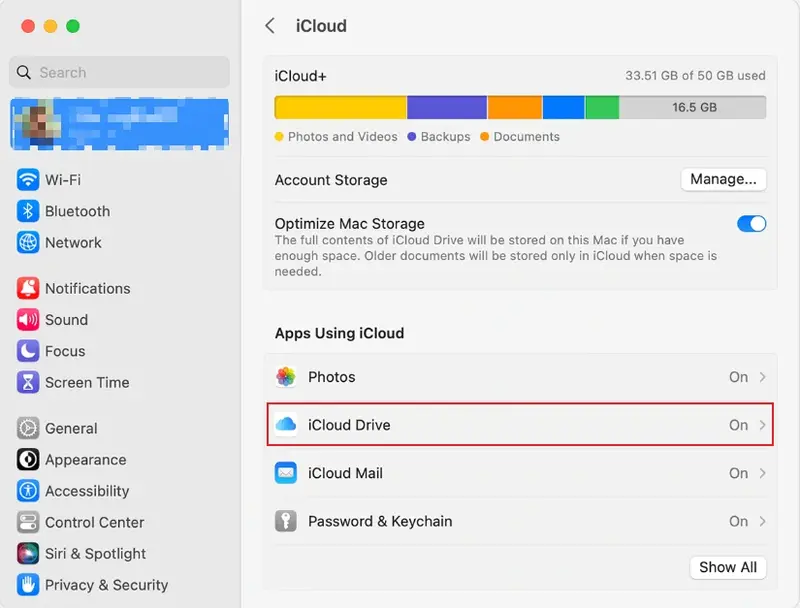 Enable iCloud and sign in