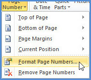 Open Format Page Numbers in Word