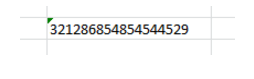 Type long number in excel sheet