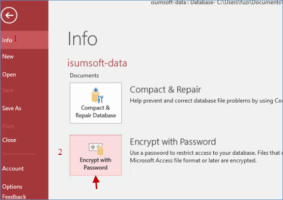 Click info and encrypt with password