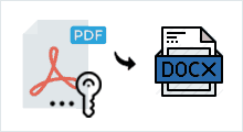 Convert pdf to word