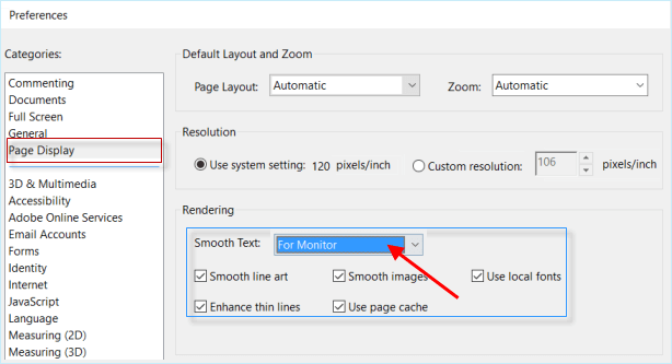 page display rendering