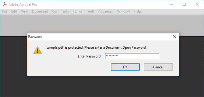 paste password to open PDF file