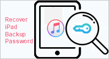 Recover iPad Backup Password