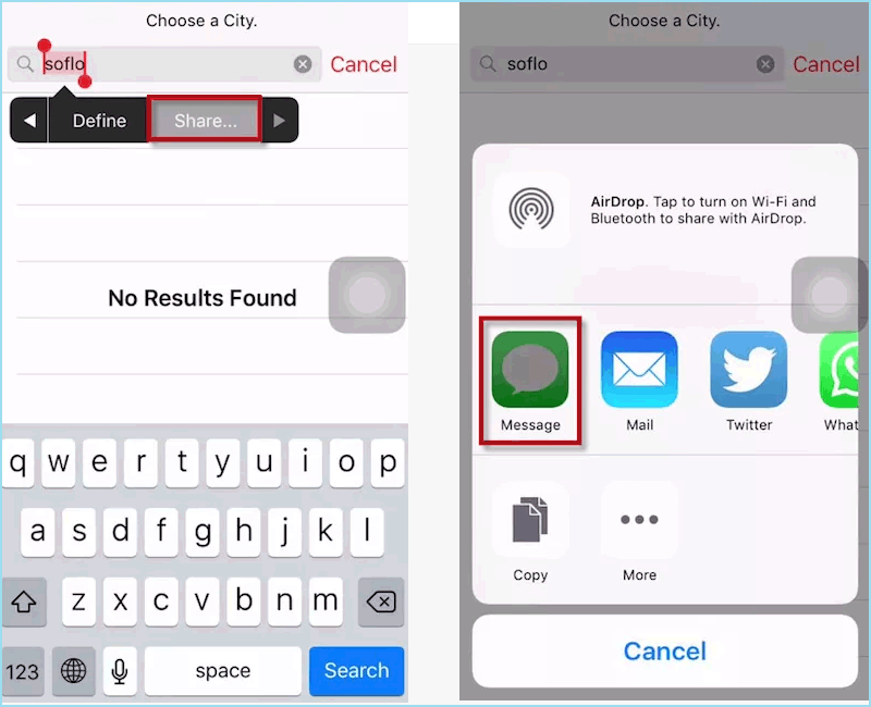 share text via message
