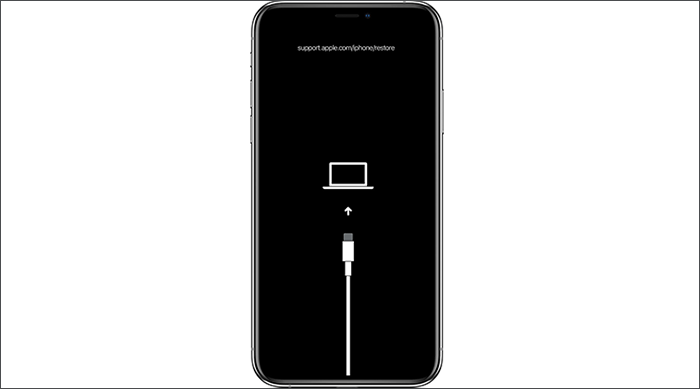 put iPhone in recovery mode
