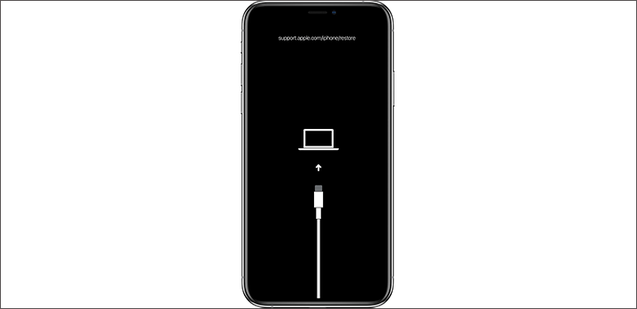 put iPhone in recovery mode
