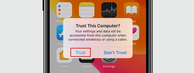 trust computer