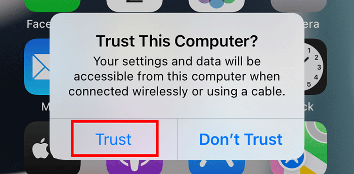 tap Trust on iPhone