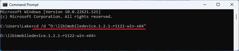 access-libi-package
