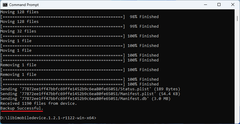 move-backup-successfully