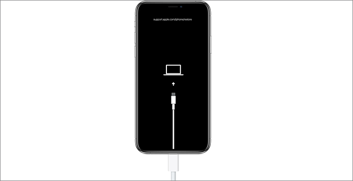 Example of an iPhone Recovery Mode screen