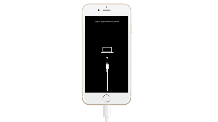 put iPhone in recovery mode