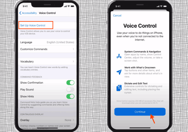 Turn on Voice Control