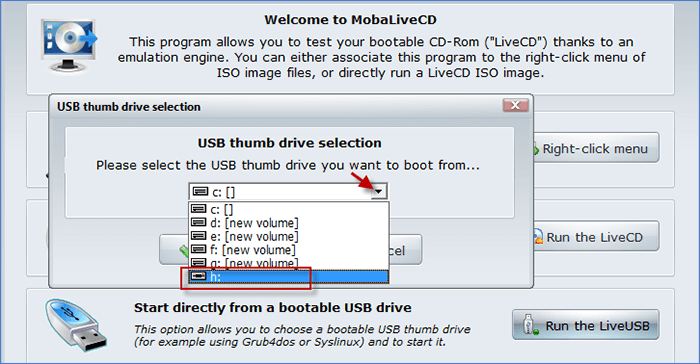 choose the USB drive you plugged in
