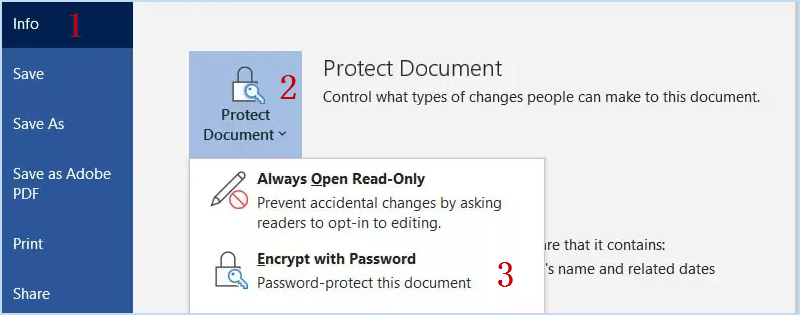click File > Info and choose Encrypt with Password.