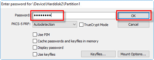 enter password for external drive