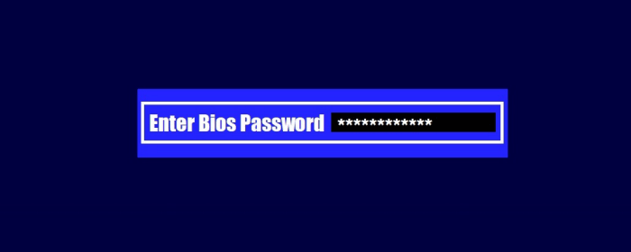 Computer prompts for BIOS password