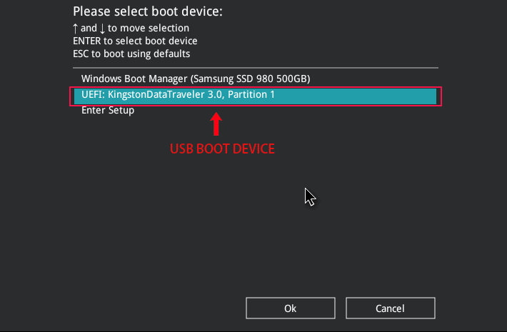 boot a computer from the USB drive