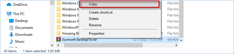 copy-zip-program-file