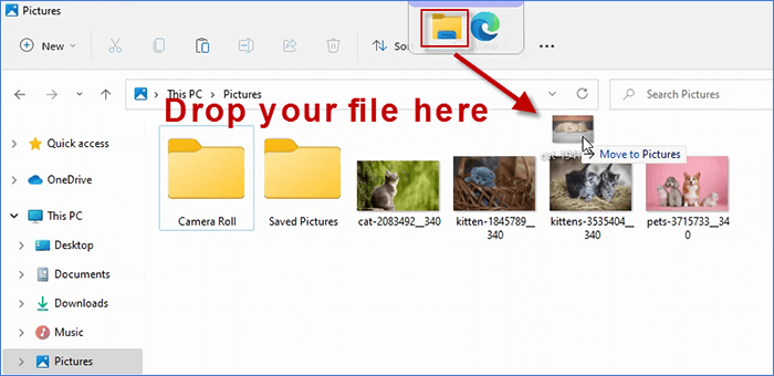 Drop your file to the selected target window