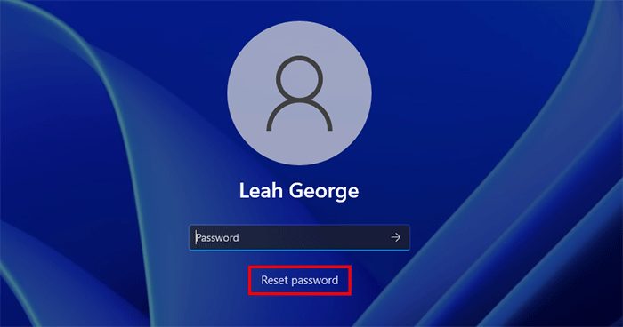 click Reset password under the Password entry box