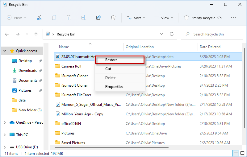 Restore Recently Deleted Files on Windows 11 from Recycle Bin