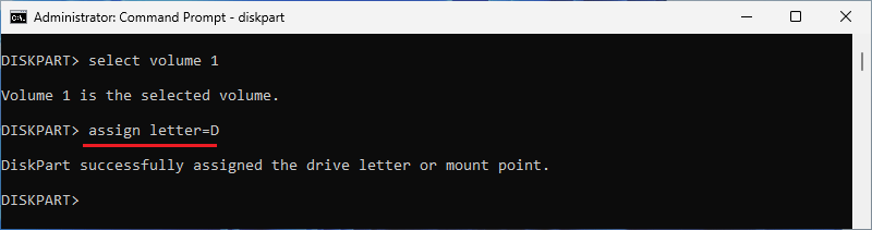 type assign letter=d and press enter