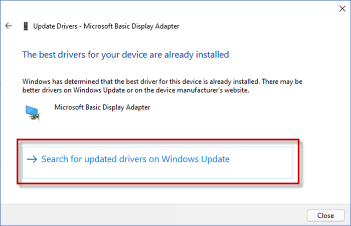 Click Search for updated drivers on Windows Update option