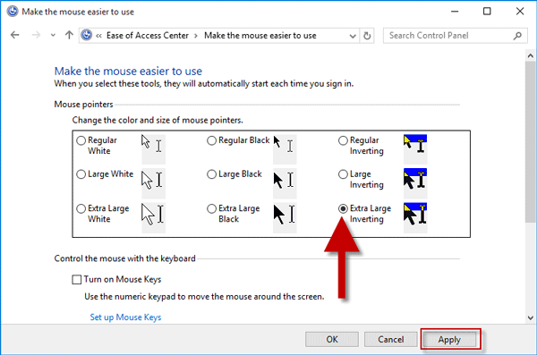 Select pointer size and color