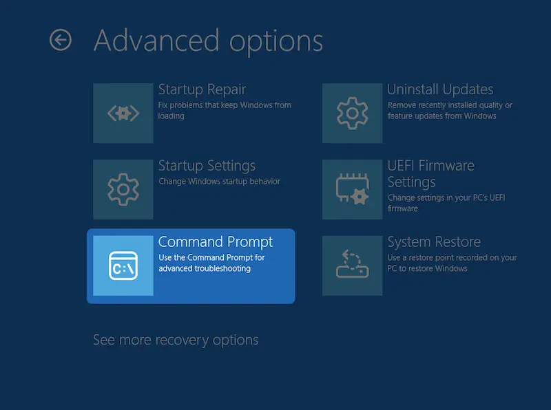 Click command prompt option from advanced options