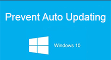 prevent windows 10 auto updating