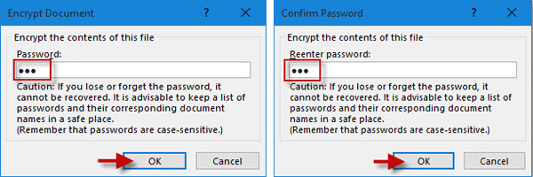 Type Excel document open password